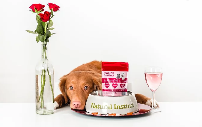 千億“它”經(jīng)濟(jì)進(jìn)入快車(chē)道，看賦碼如何應(yīng)對(duì)挑戰(zhàn)？